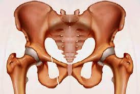 Fracture bassin

