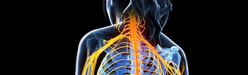 pathologies périphériques